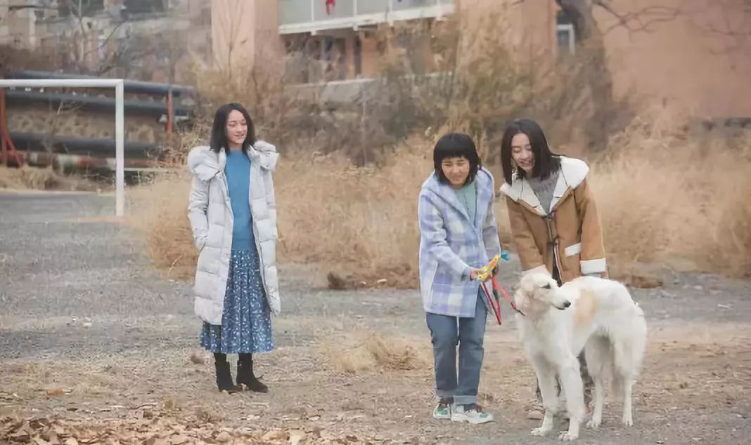 周迅讲胡歌,周迅婚内出轨