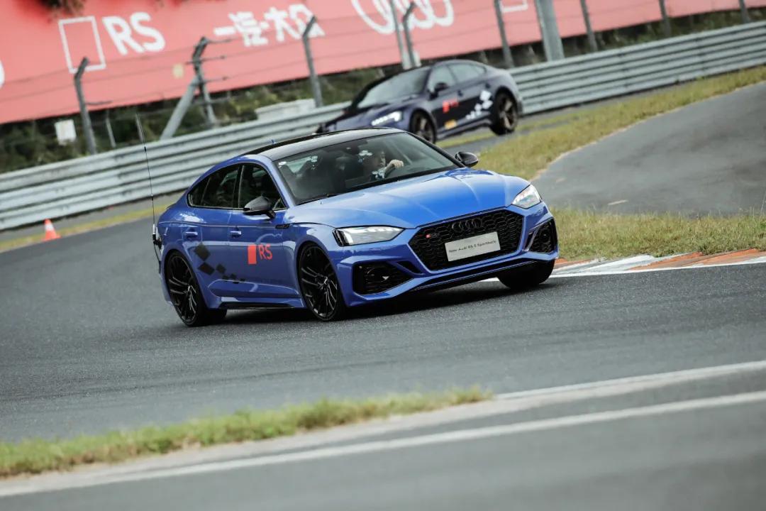 这才是真正的人生赢家,这才是真正的人参枸杞茶