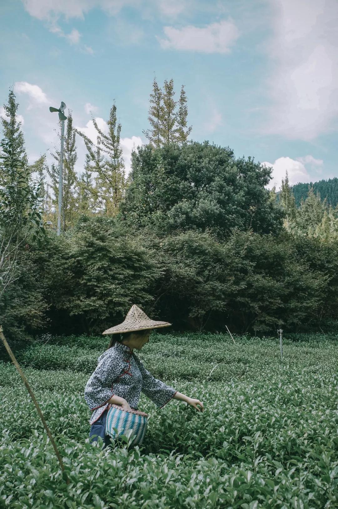 马云去的江西小镇,马云在浙江几个小镇