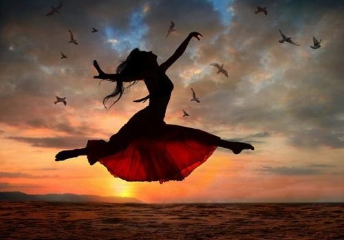 白茶清欢感恩遇见,白茶清欢山东