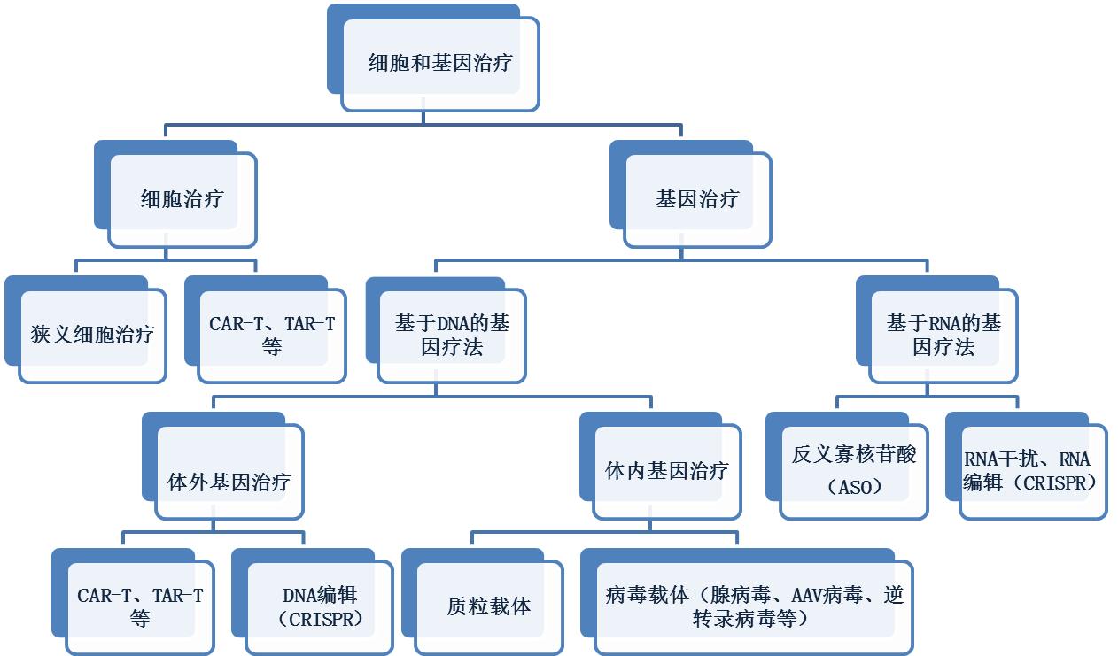金斯瑞基因治疗发展,金斯瑞生物科技的未来