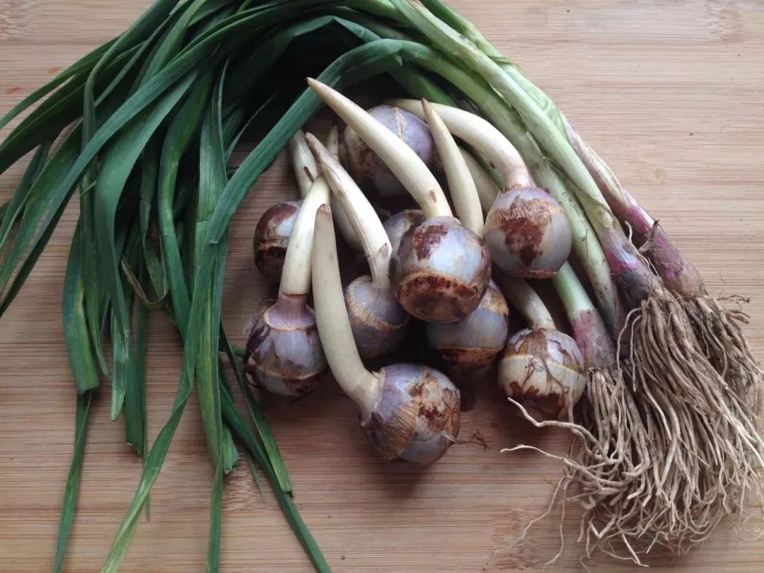 中药不能和饭一起吃但可以做药膳,可以当菜吃的中药