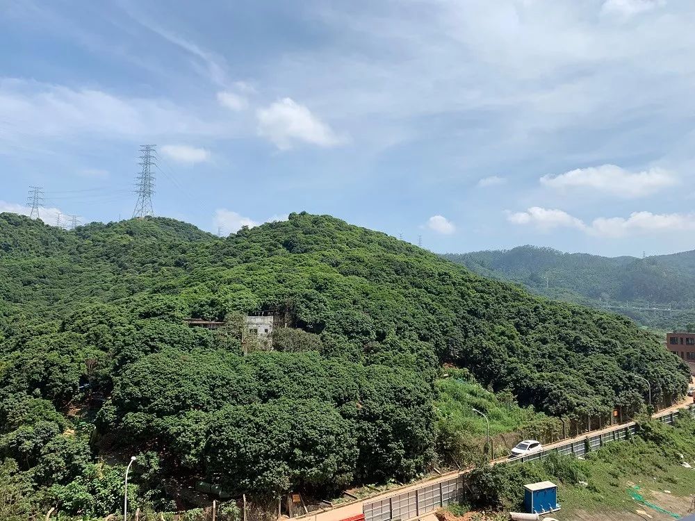 太劲爆！半4、海2后，南山又有豪宅要入市，住宅只有300多套