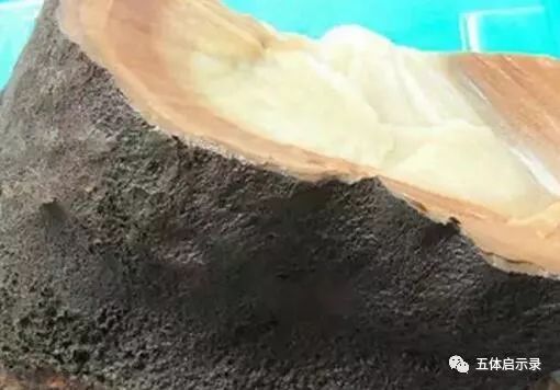 犯太岁中的太岁到底是啥,太岁到底是什么怎么就犯太岁了呢