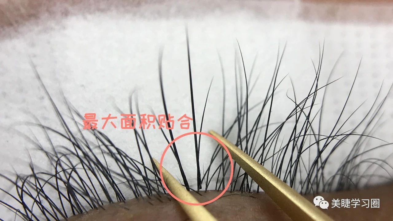 嫁接睫毛时真睫毛又乱又短怎么办,为什么嫁接的单根睫毛乱七八糟的