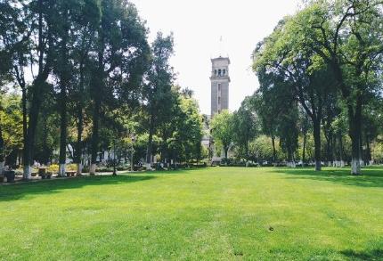 昆明适合拍照的景点有哪些,昆明大理周边旅游景点排名榜前十