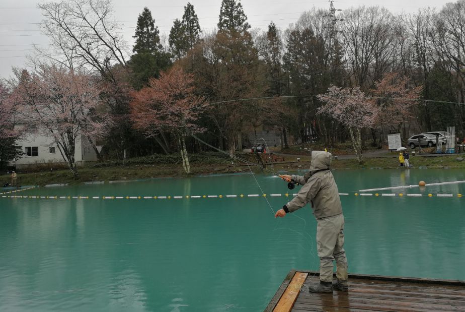 日本旅行你想省几百元，他却省了几千元，只因你忽略了帕累托改进