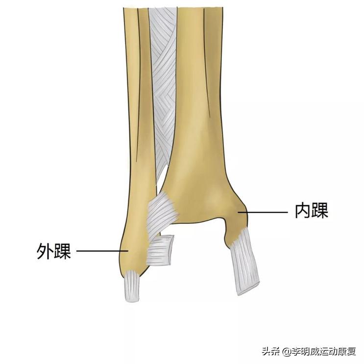 习惯性崴脚找谁治疗,崴脚后习惯性崴脚