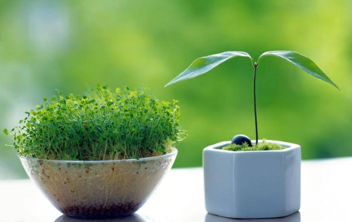 防止开空调过度干燥,开空调干燥要怎样保湿