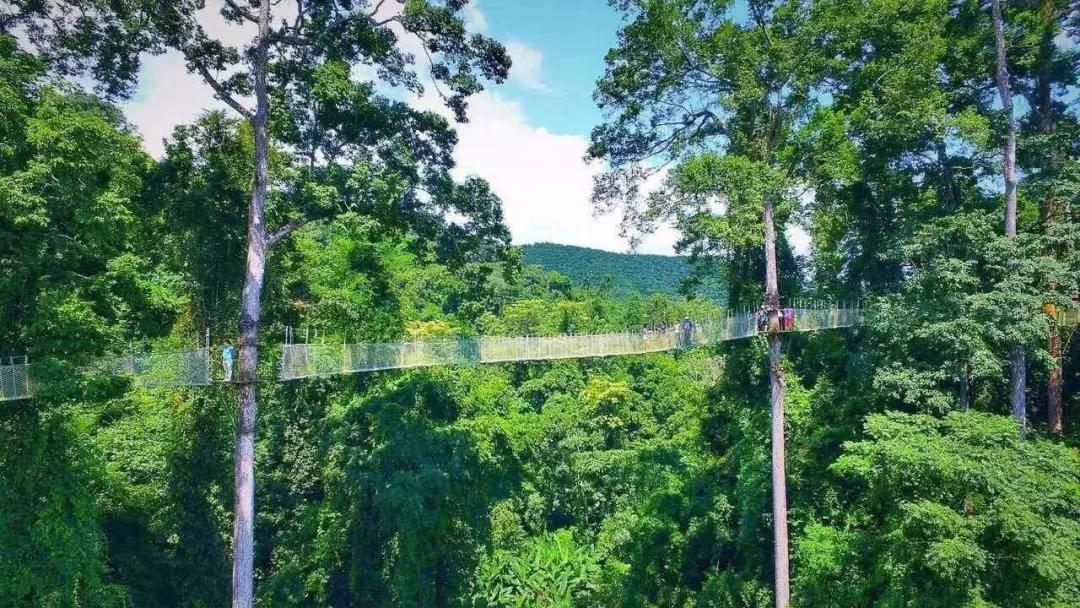 来西双版纳必去的10个地方,来西双版纳必玩的地方