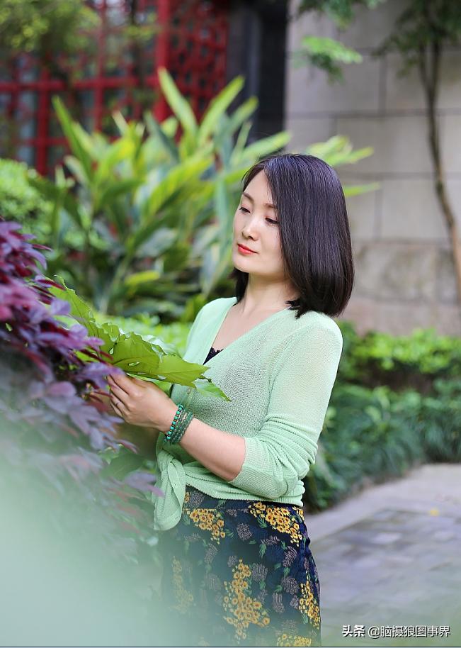 绿叶拍摄技巧图,逆光拍花拍摄技巧