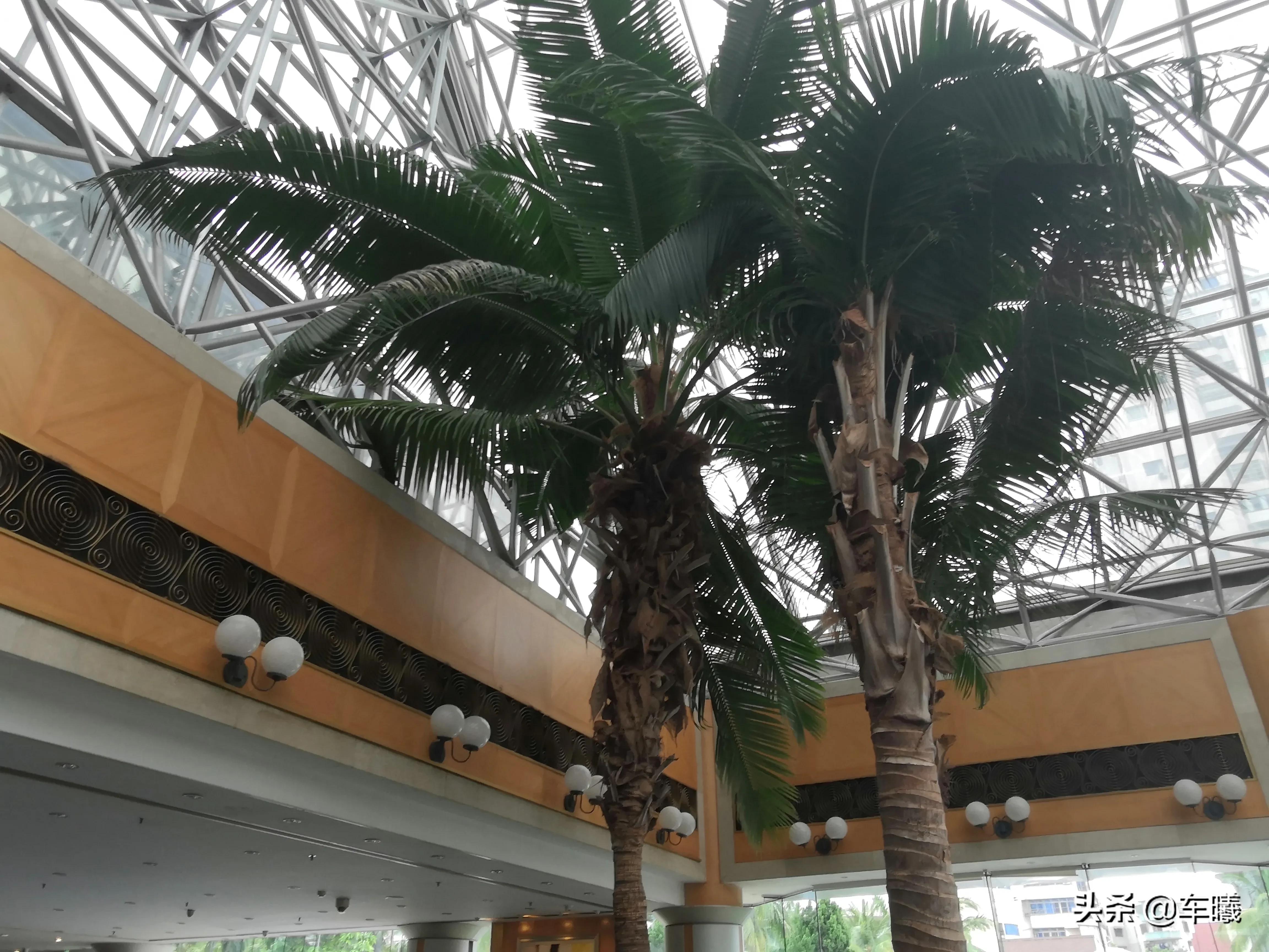 海口寰岛泰得大酒店参海人家,海口泰德大酒店好不好开