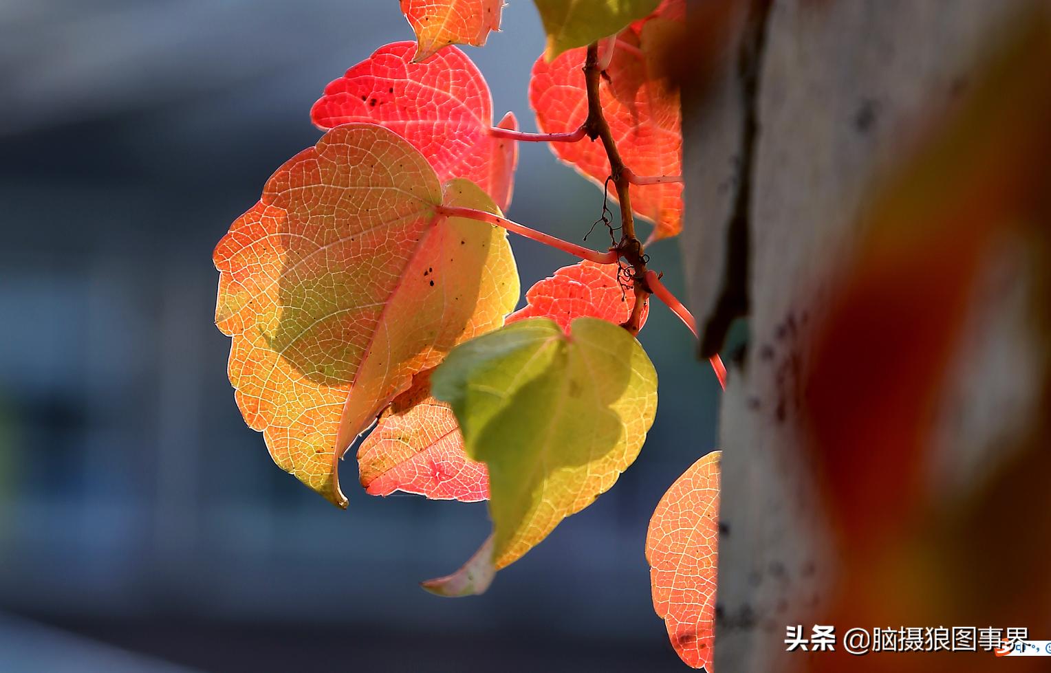 后期修图的技巧和方法,拍照后期修图技巧