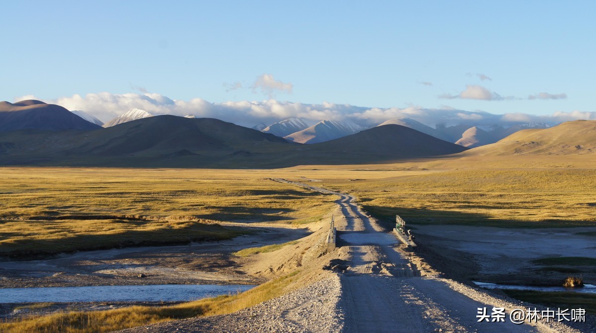 一位阿根廷归国华人的自述续四：黑色幽默！一些名人如智叟般愚蠢