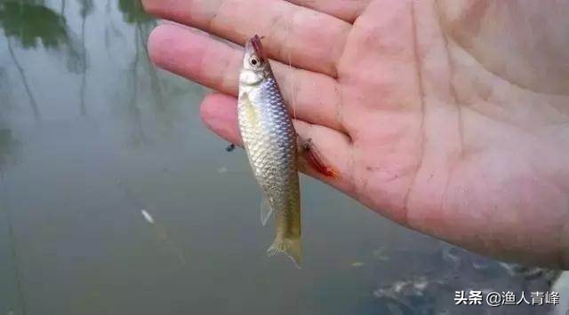 频繁空杆,怎样避免空竿