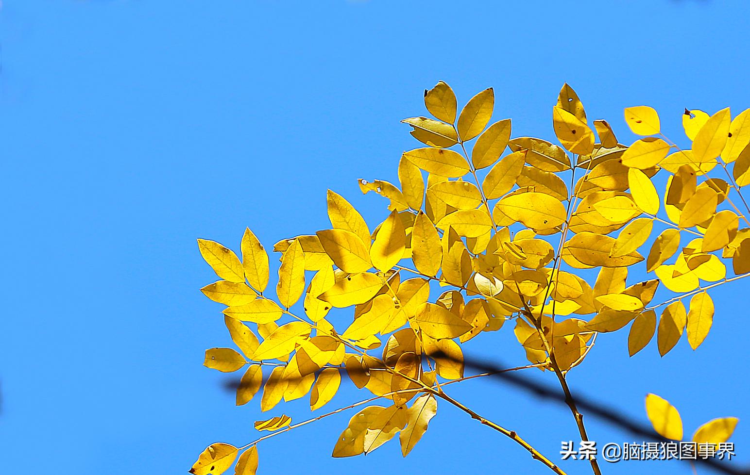 后期修图的技巧和方法,拍照后期修图技巧