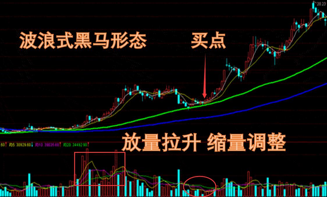 一分钟看懂3600只黑马股票,如何从冷门股中选出黑马建议收藏
