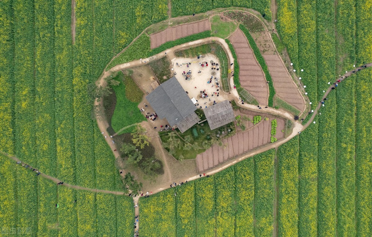 创意农业稻田,休闲农业创意农业