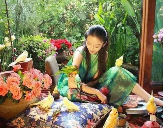 杨丽萍生活起居需要男助理照顾,杨丽萍的生活问题怎么解决