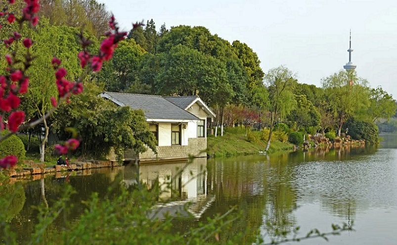 12月南京有哪些免费景点,南京市民免费旅游景点