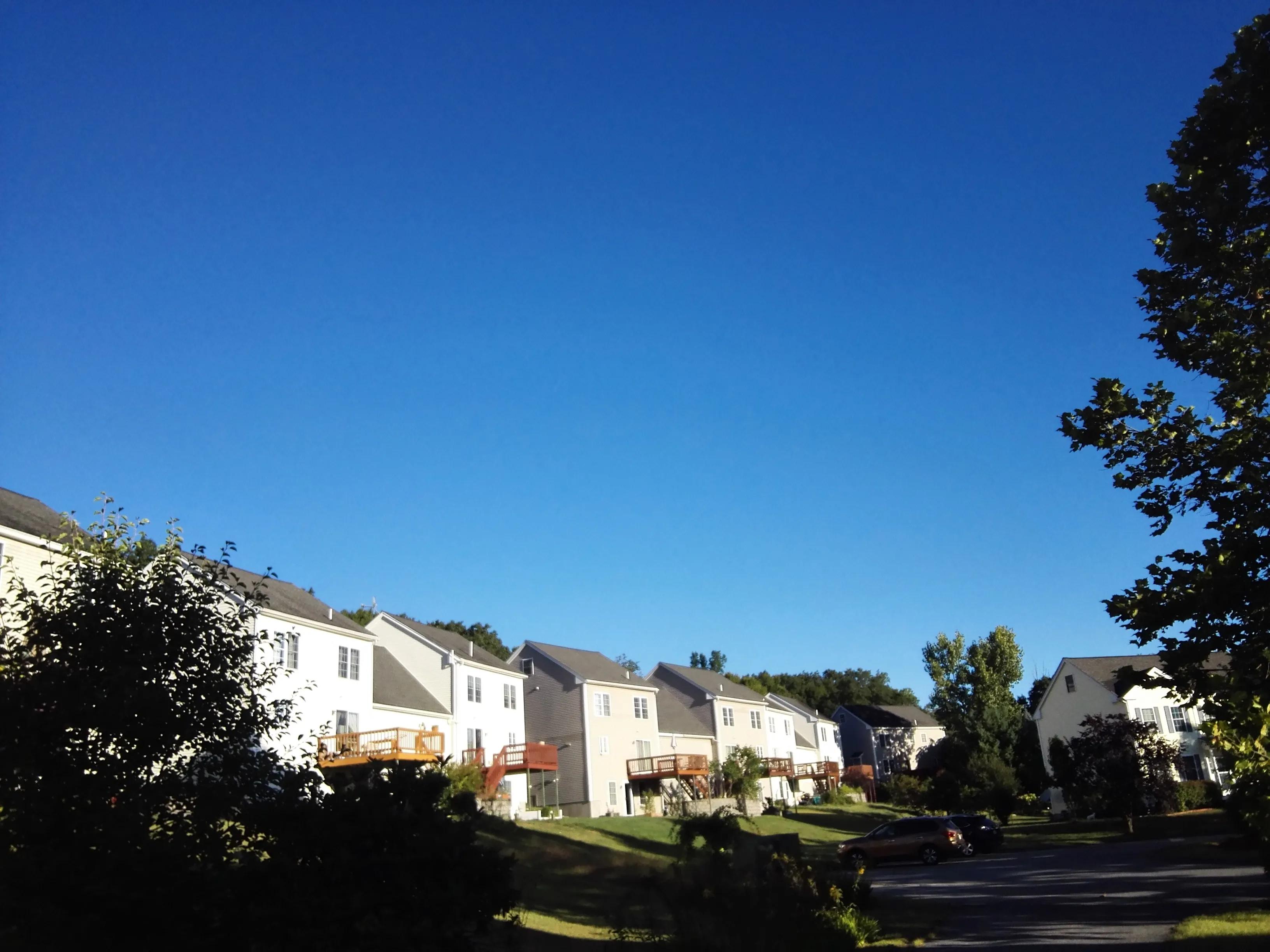 我在美国当道士,我在美国当道士的日子