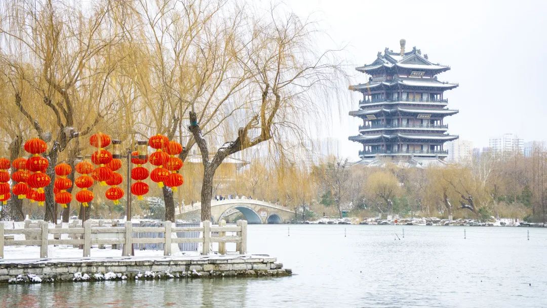 冬天的济南美丽雪景,济南的冬天平常与不平常的冬景