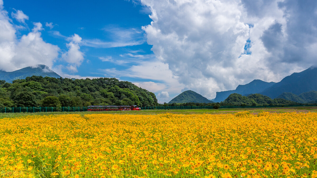 最大的遗憾就是遇到最好的人,人生最大的遗憾遇到一个特别的人