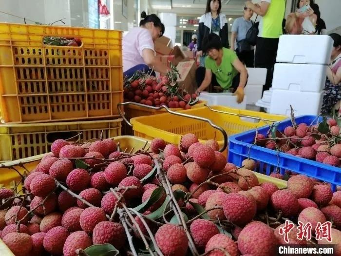 中国各省十大水果排行榜,中国六大水果产区地图