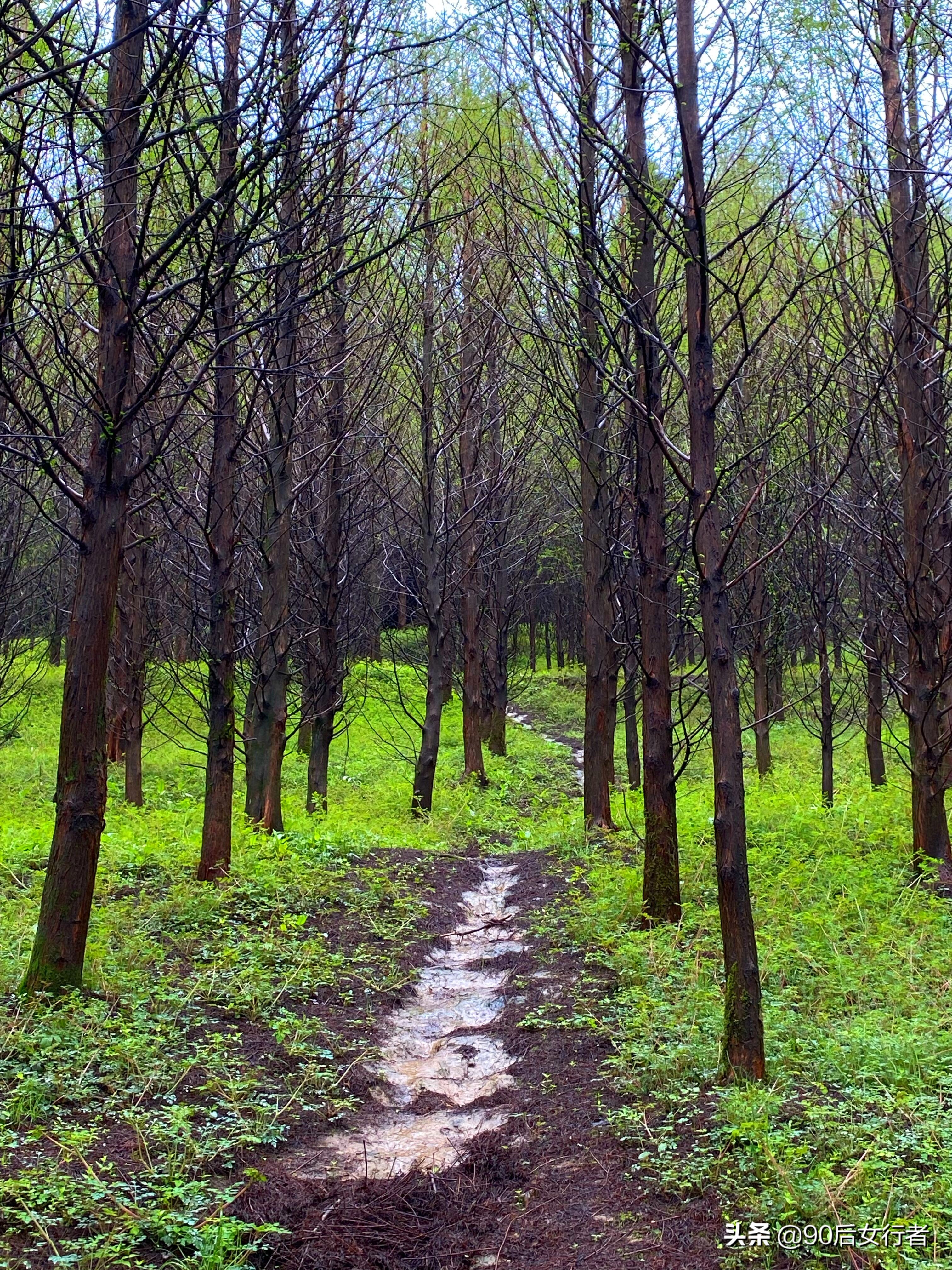雨天徒步十里长山凹,走进大自然翻山越岭户外徒步
