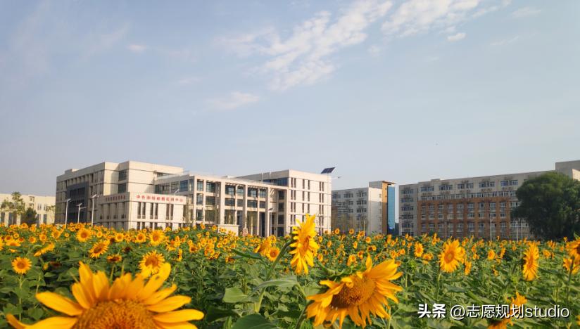 河南测绘职业学院全国排名,河南测绘职业学院软件技术