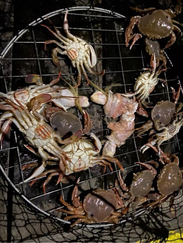 英国呼吁禁止活煮螃蟹,英国拟禁止煮活螃蟹