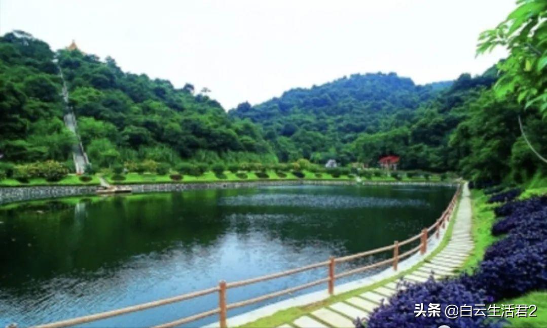 白云山片区发展潜力,白云山的发展潜力巨大