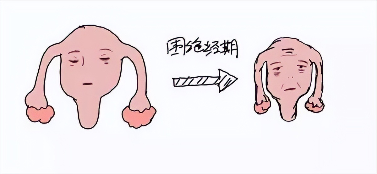 子宫肌瘤不治疗会消失吗,子宫肌瘤导致不绝经吗