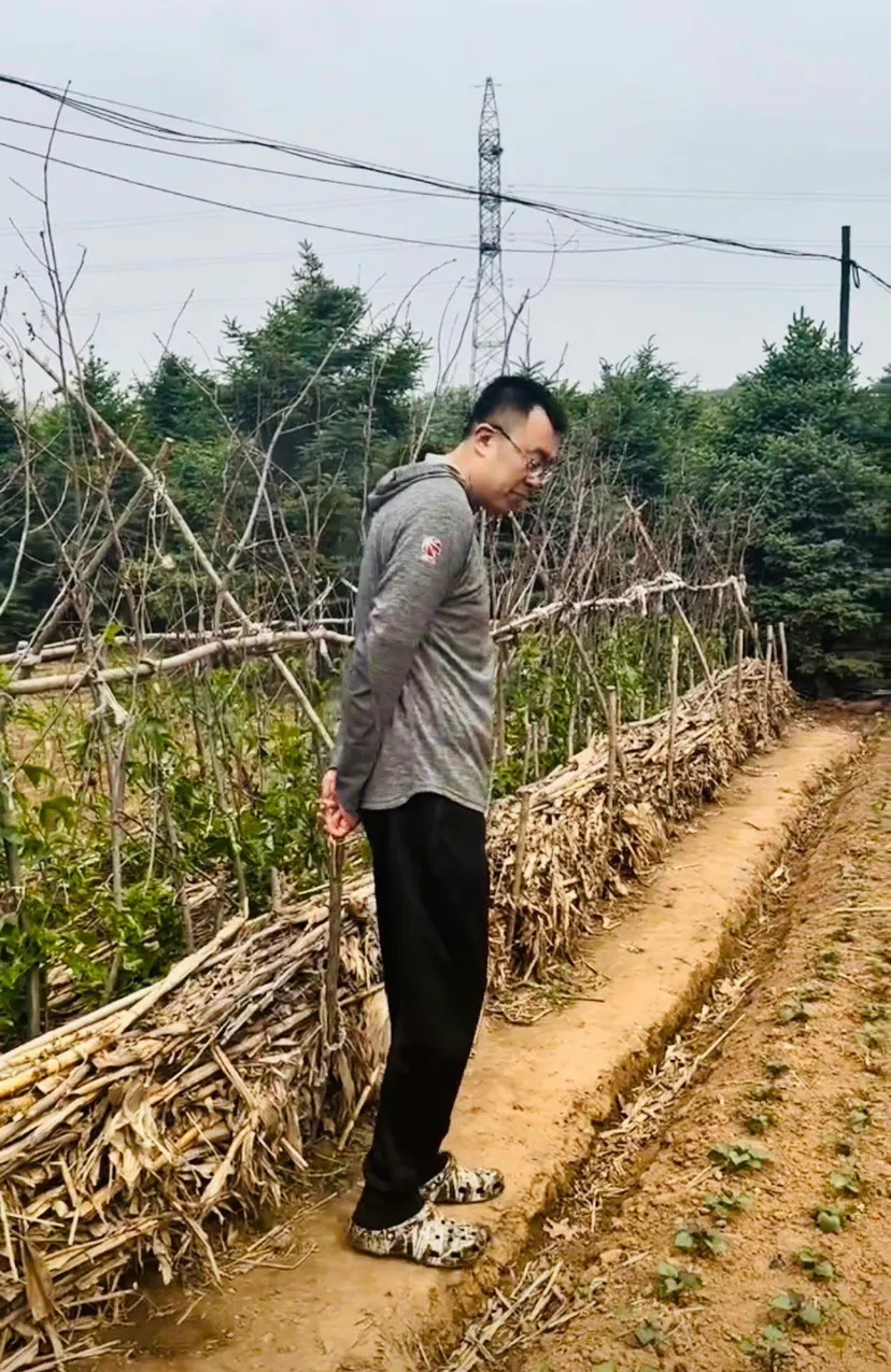 辽篮签了两个外援,辽篮签了哪些外援