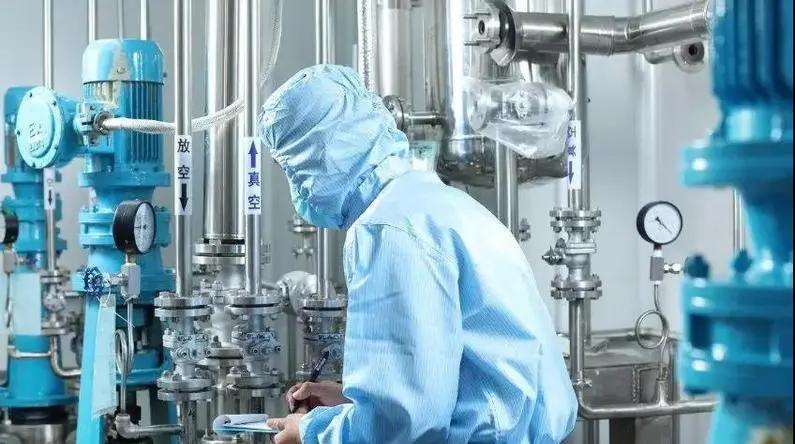 俄罗斯总统普京的5朵金花,普京身边的五朵小花