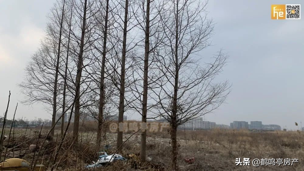 盐城长坝二期四号地块何时开建,盐城小海路东水泵厂地块何时开工