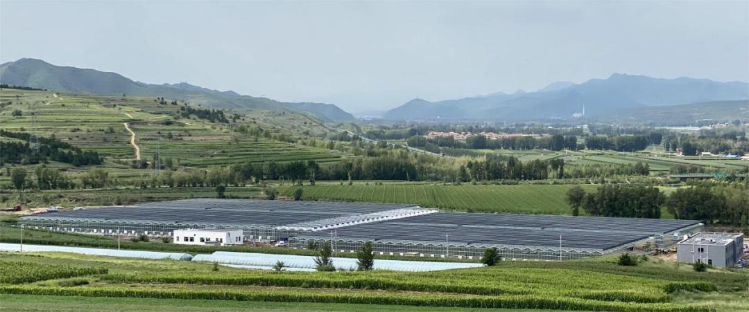 育苗基地规划建设,育苗基地建设计划书