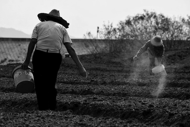 阿伟成长日记,阿伟智障患者