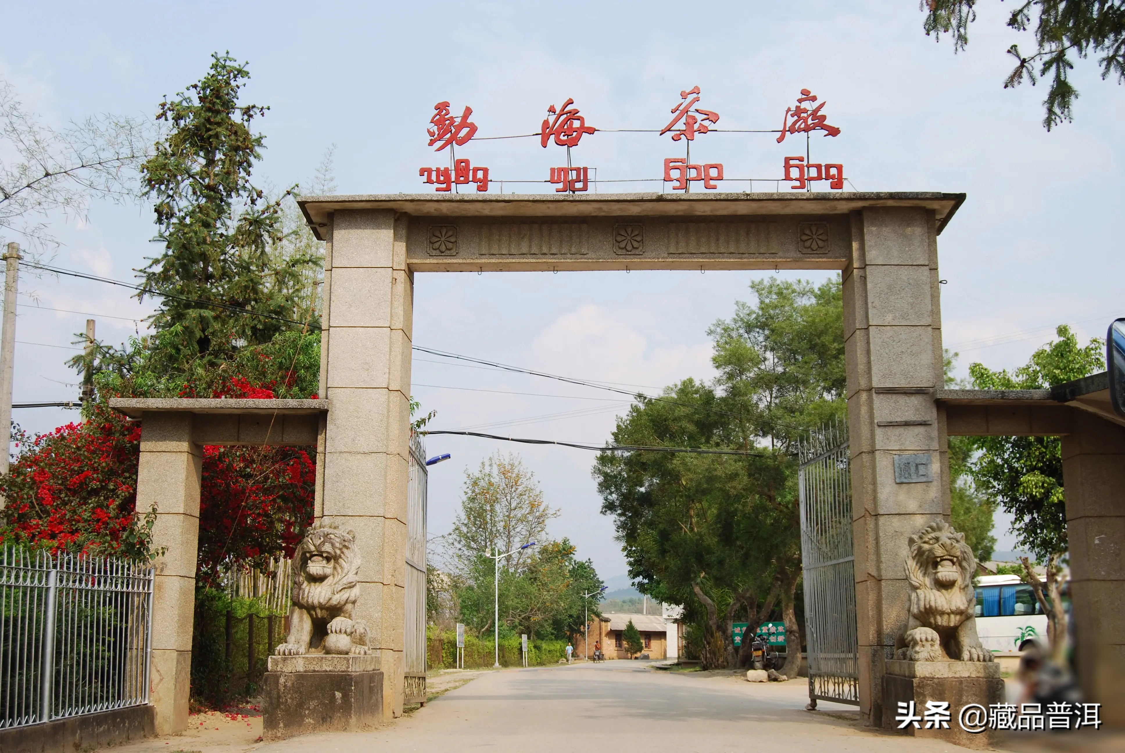 广州芳村的普洱茶都卖到哪里去了,芳村普洱茶市场