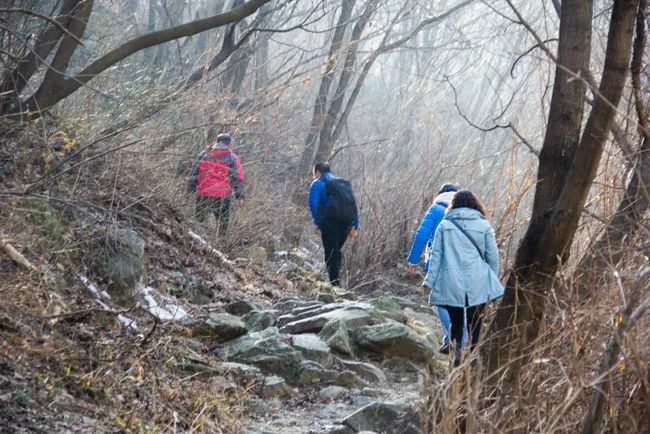 冬天寻访秦岭大峪，不但还有古道遗迹可循，还能见到这条野生广告