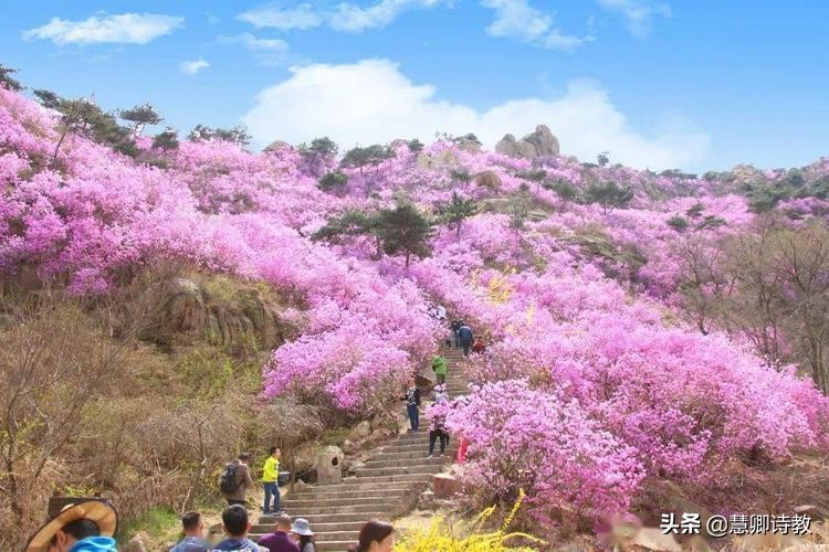 四年级下册语文习作我的乐园范文,四年级下册我的奇思妙想习作范文