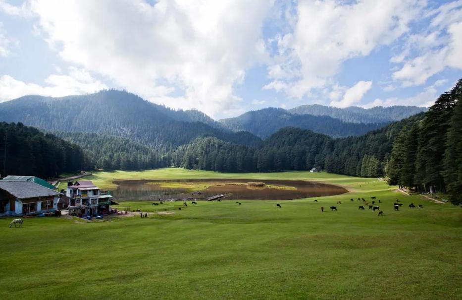 武隆仙女山在重庆哪个区,重庆去仙女山跟团游价格