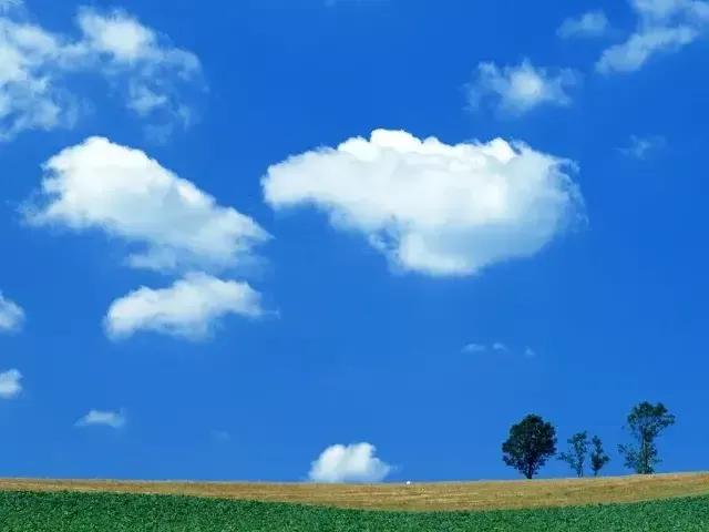 买衣服可以退吗实体店,买衣服实体店好还是网店好