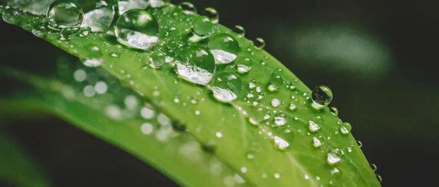 水滴公司“灰产”质疑之思盈利良方之问