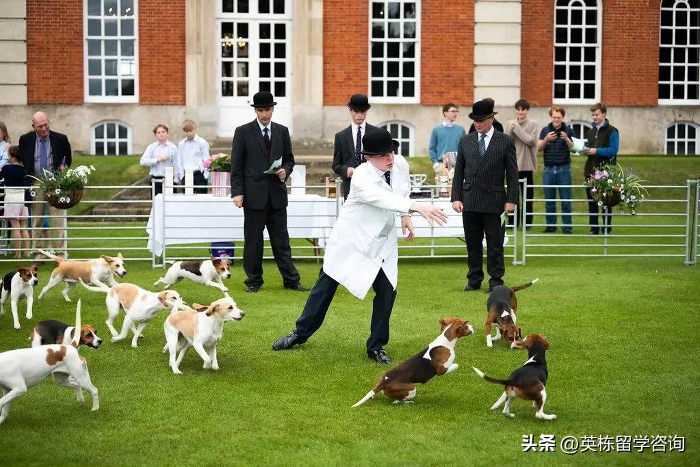 英国radley拉德利学院,英栋