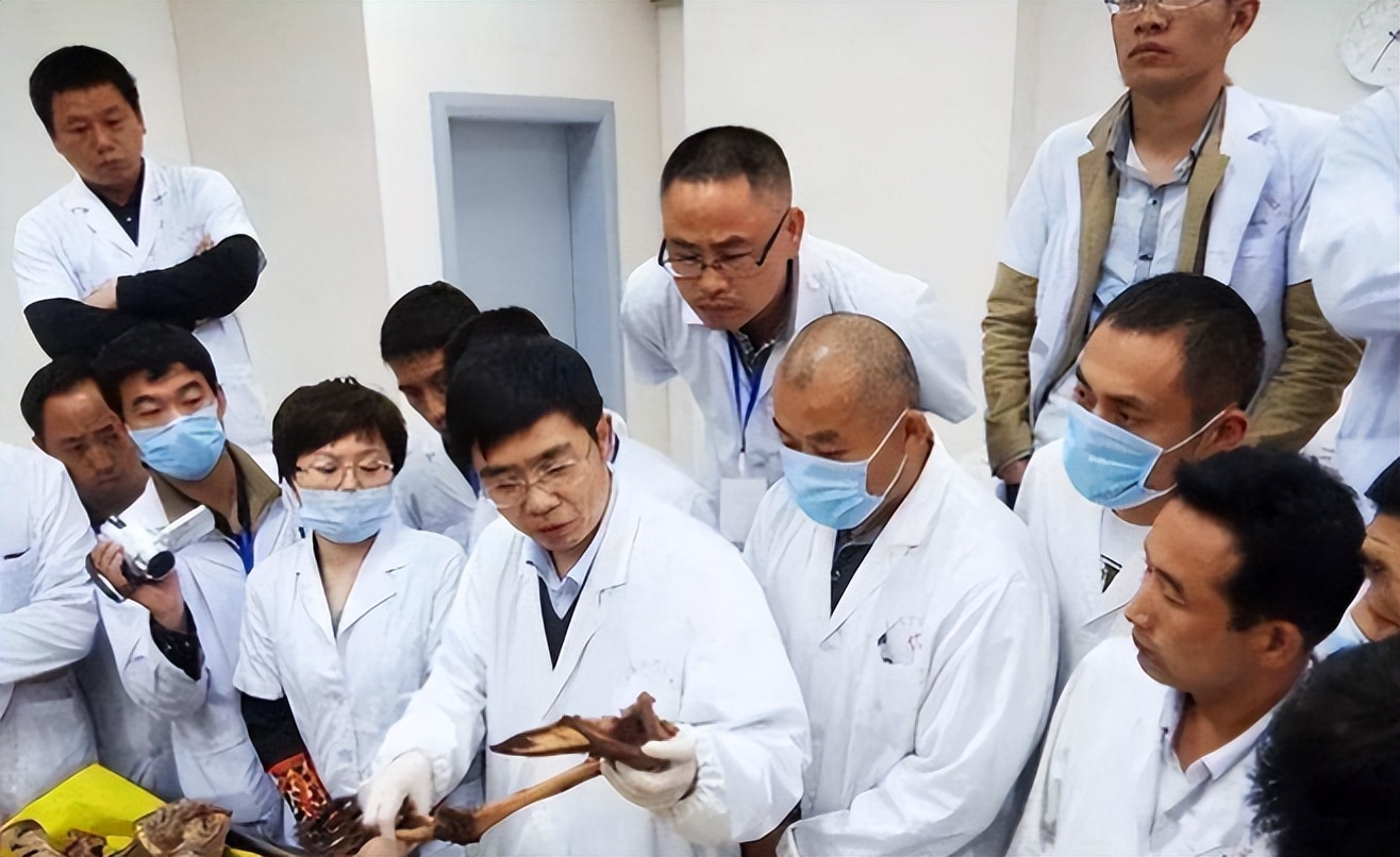 人体遗体捐献做标本有没有补偿,标本制作师工作