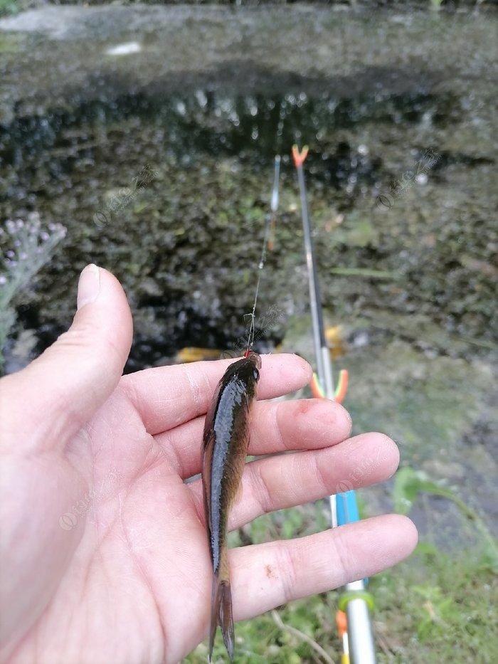 掌握这四大钓鱼技巧你也是高手,掌握这几点小窍门