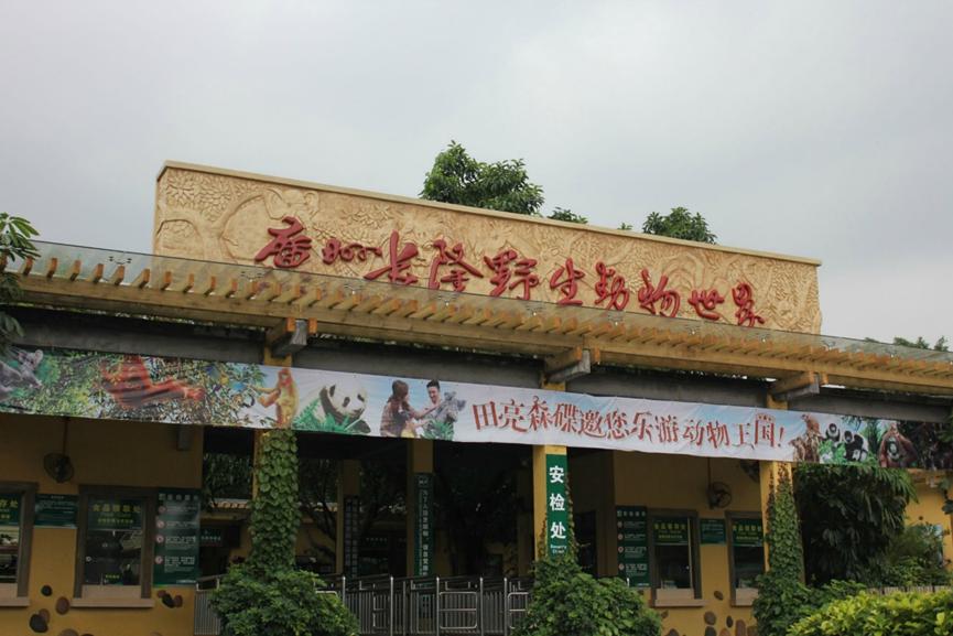 番禺长隆野生动物酒店住宿攻略,长隆野生动物世界金蛇秘境视频