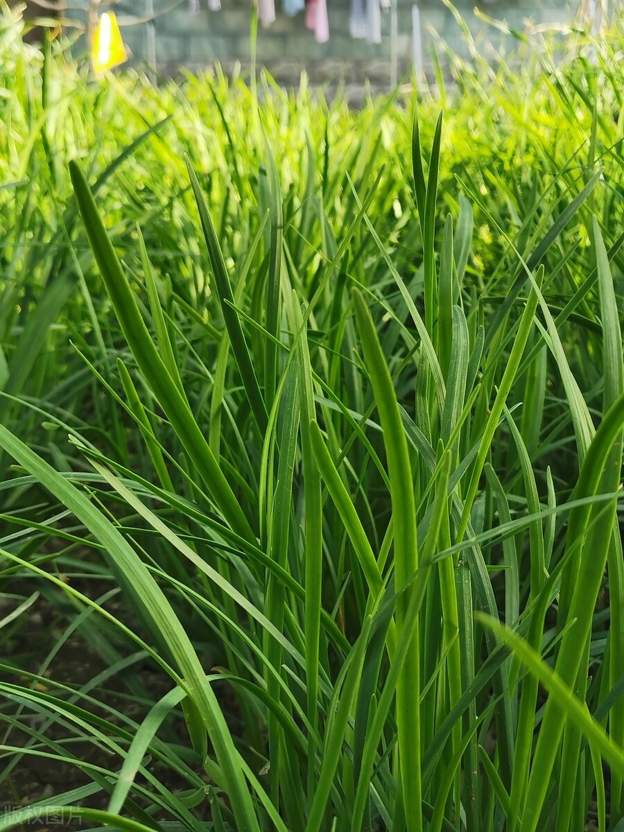 求职路的艰辛,求职路上的迷茫