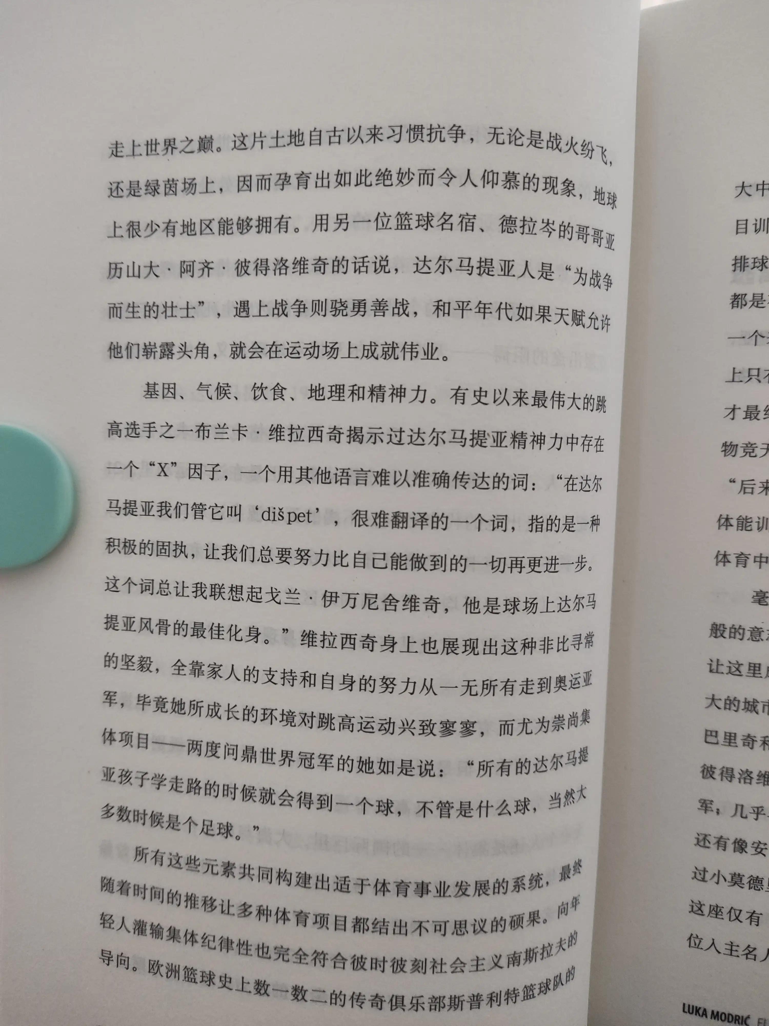 绿茵场上的舞者,绿茵场上的梦想舞者